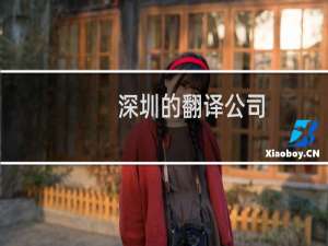 深圳的翻译公司