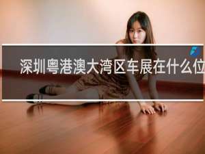 深圳粤港澳大湾区车展在什么位置