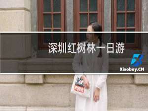 深圳红树林一日游