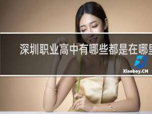 深圳职业高中有哪些都是在哪里
