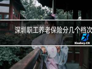 深圳职工养老保险分几个档次