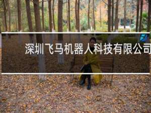 深圳飞马机器人科技有限公司