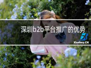 深圳b2b平台推广的优势