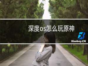 深度os怎么玩原神