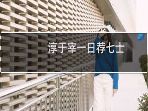 淳于宰一日荐七士