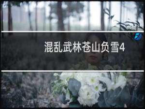 混乱武林苍山负雪4.6攻略