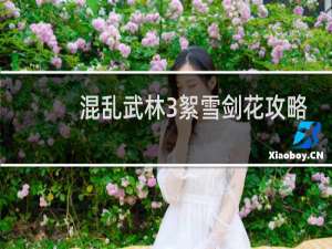 混乱武林3絮雪剑花攻略