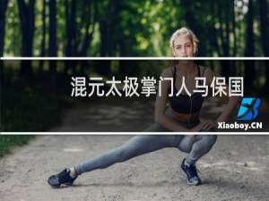 混元太极掌门人马保国