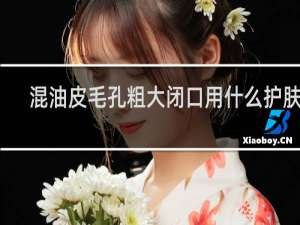 混油皮毛孔粗大闭口用什么护肤品