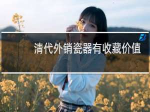清代外销瓷器有收藏价值吗