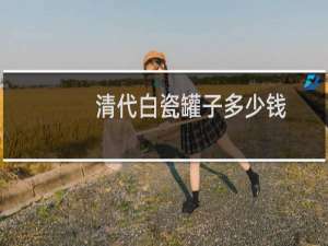 清代白瓷罐子多少钱