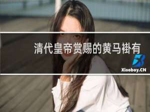 清代皇帝赏赐的黄马褂有哪些特权？