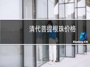 清代菩提根珠价格