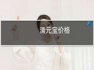 清元宝价格