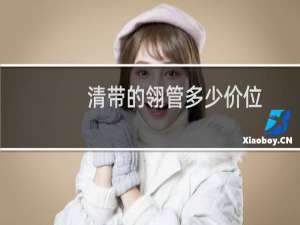 清带的翎管多少价位