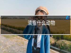 清指什么动物