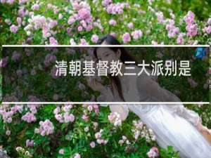 清朝基督教三大派别是