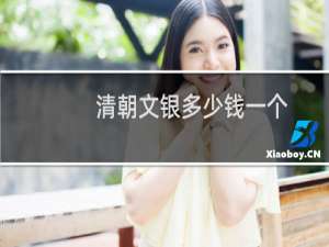 清朝文银多少钱一个