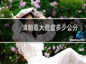 清朝最大瓷盘多少公分