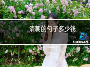 清朝的勺子多少钱