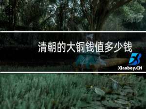 清朝的大铜钱值多少钱