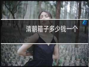 清朝箱子多少钱一个