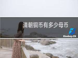 清朝铜币有多少母币