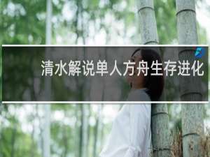 清水解说单人方舟生存进化