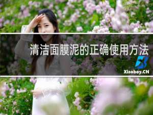 清洁面膜泥的正确使用方法