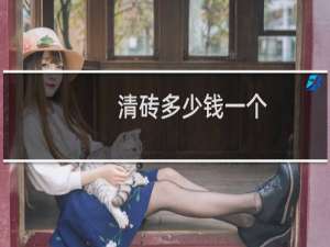 清砖多少钱一个