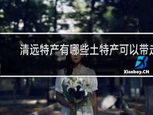 清远特产有哪些土特产可以带走