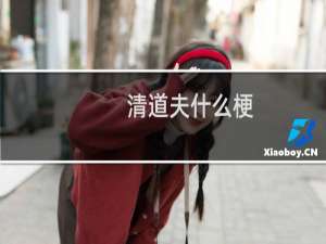 清道夫什么梗