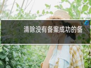 清除没有备案成功的备案码