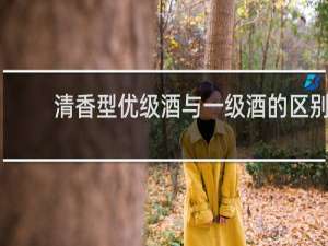 清香型优级酒与一级酒的区别