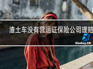 渣土车没有营运证保险公司理赔吗