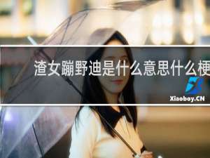 渣女蹦野迪是什么意思什么梗