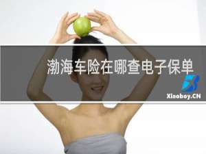 渤海车险在哪查电子保单
