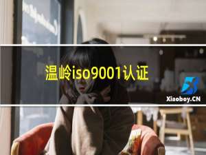 温岭iso9001认证