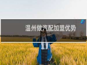 温州做汽配加盟优势