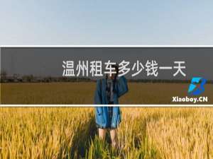 温州租车多少钱一天