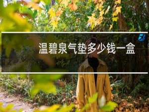 温碧泉气垫多少钱一盒