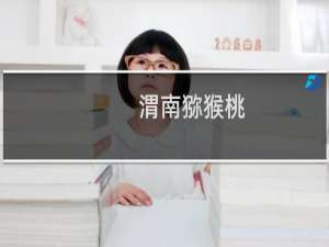 渭南猕猴桃（临渭区特产）