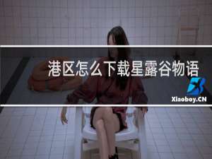 港区怎么下载星露谷物语