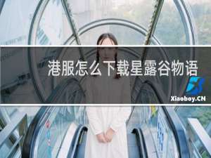 港服怎么下载星露谷物语