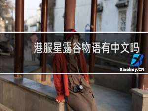 港服星露谷物语有中文吗