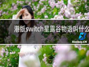港版switch星露谷物语叫什么