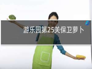 游乐园第25关保卫萝卜