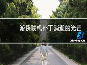 游侠联机补丁消逝的光芒