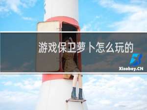 游戏保卫萝卜怎么玩的