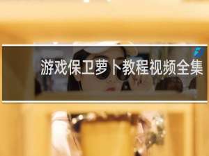 游戏保卫萝卜教程视频全集